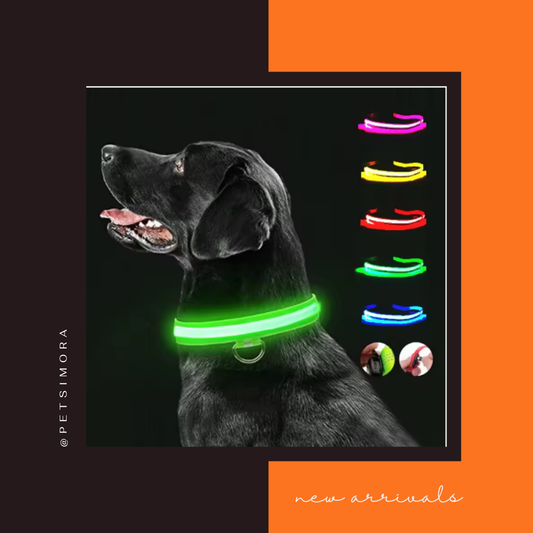 ShinePaw Pet Necklace ✨🐾 PetSimora™