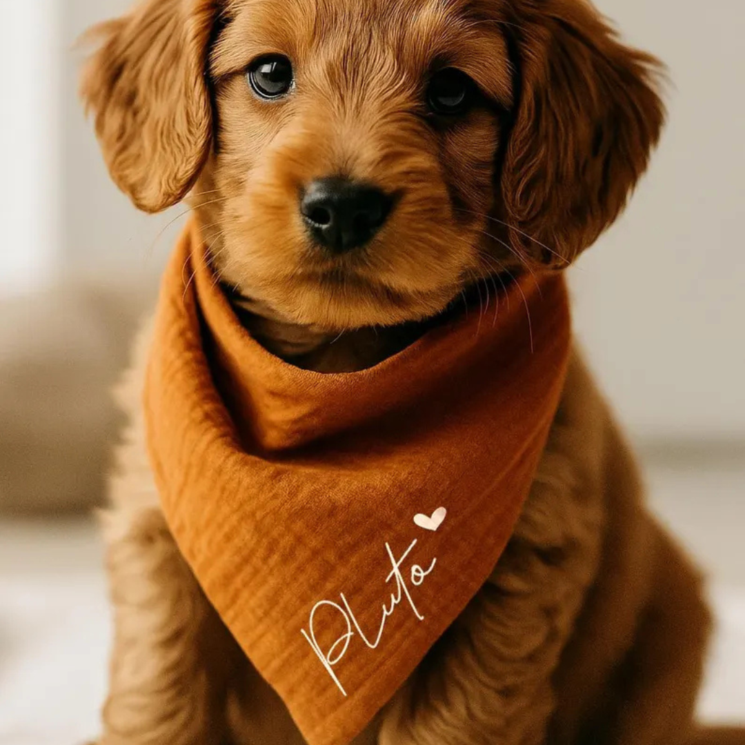 Personalized Dog Bandana 🐶 PetSimora™