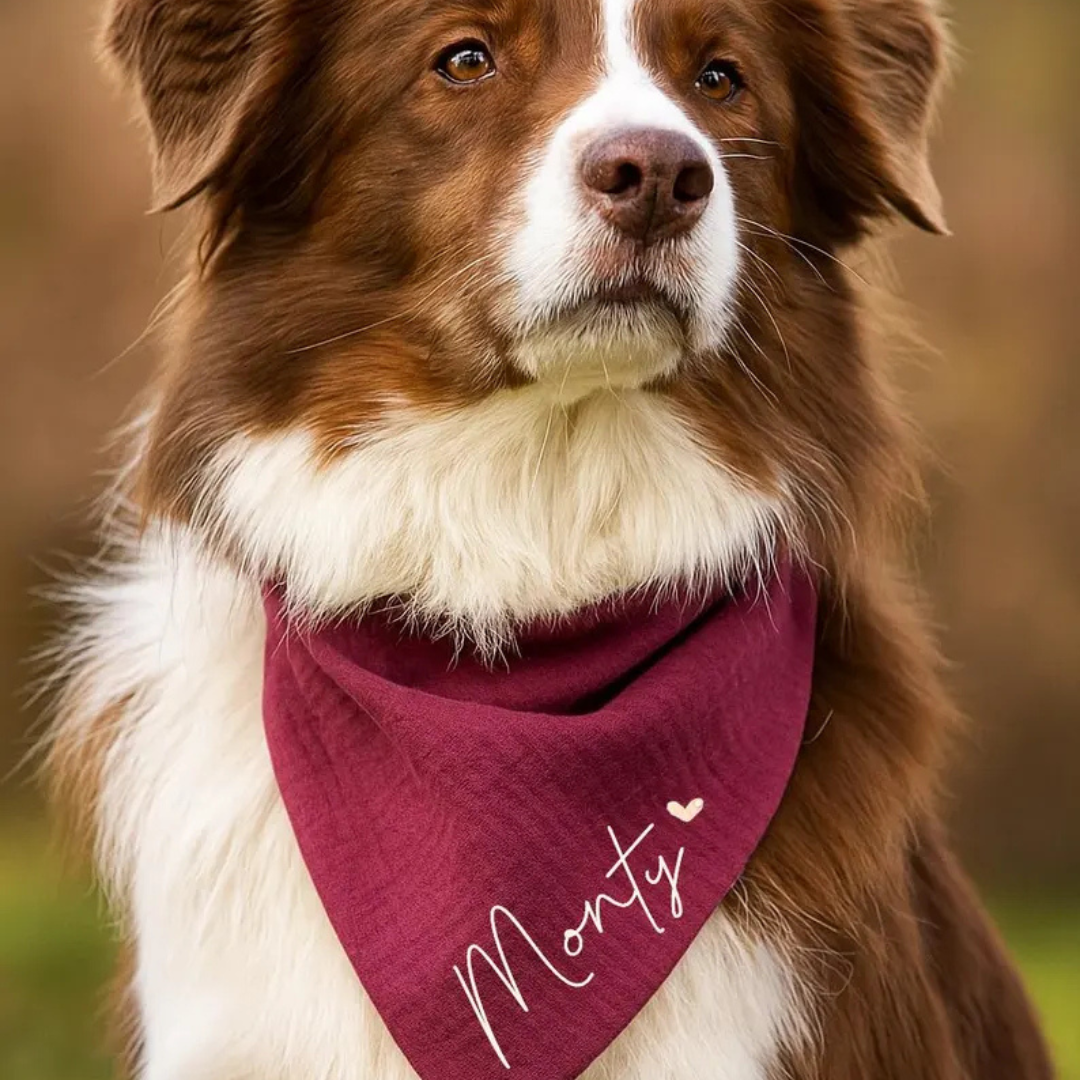 Personalized Dog Bandana 🐶 PetSimora™