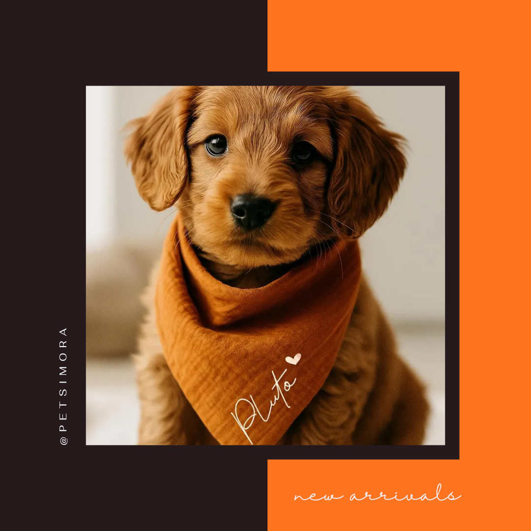 Personalized Dog Bandana 🐶 PetSimora™